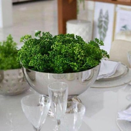 Champagne Bowl | Double Wall | Stainless Steel 